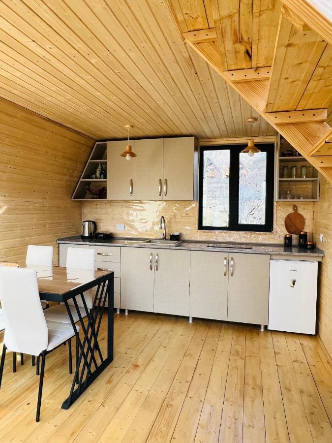 Apartmán Emotion Kazbegi Exteriér fotografie