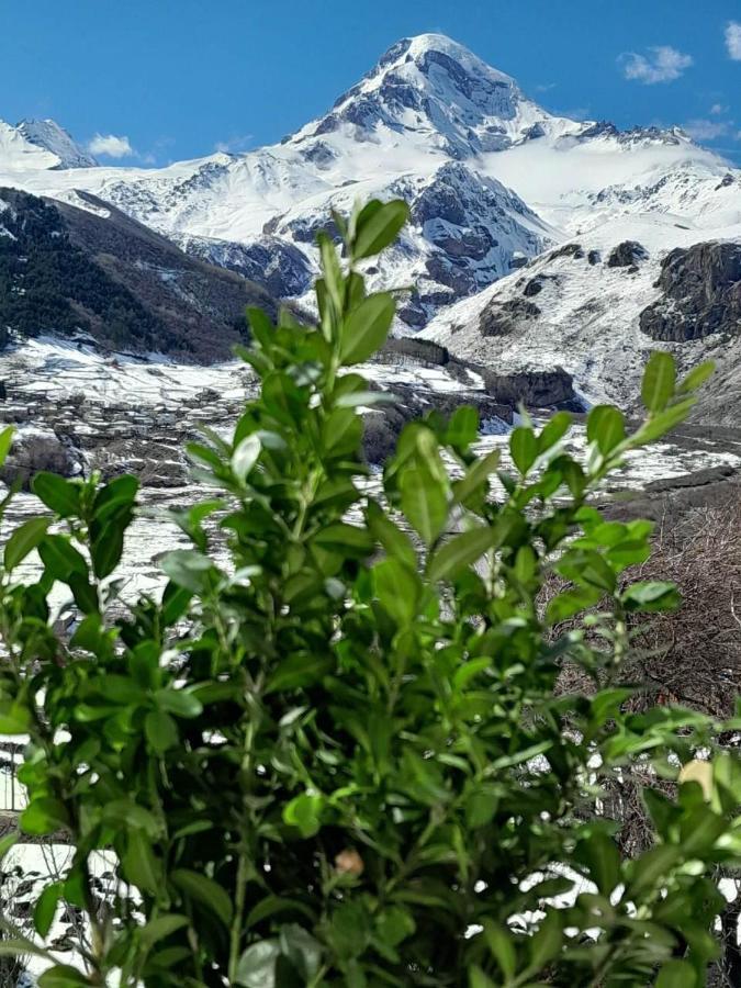 Apartmán Emotion Kazbegi Exteriér fotografie