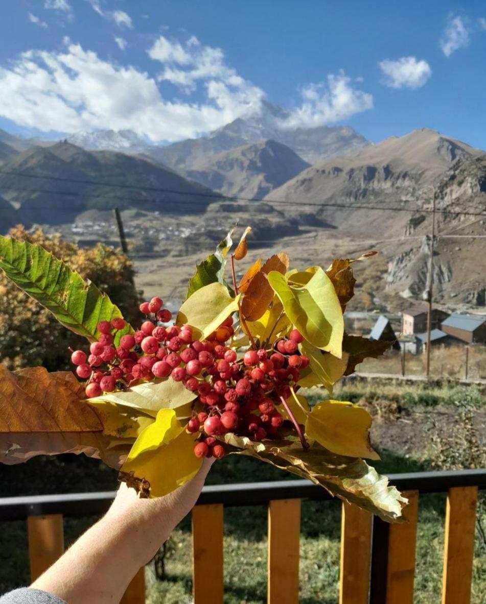 Apartmán Emotion Kazbegi Pokoj fotografie