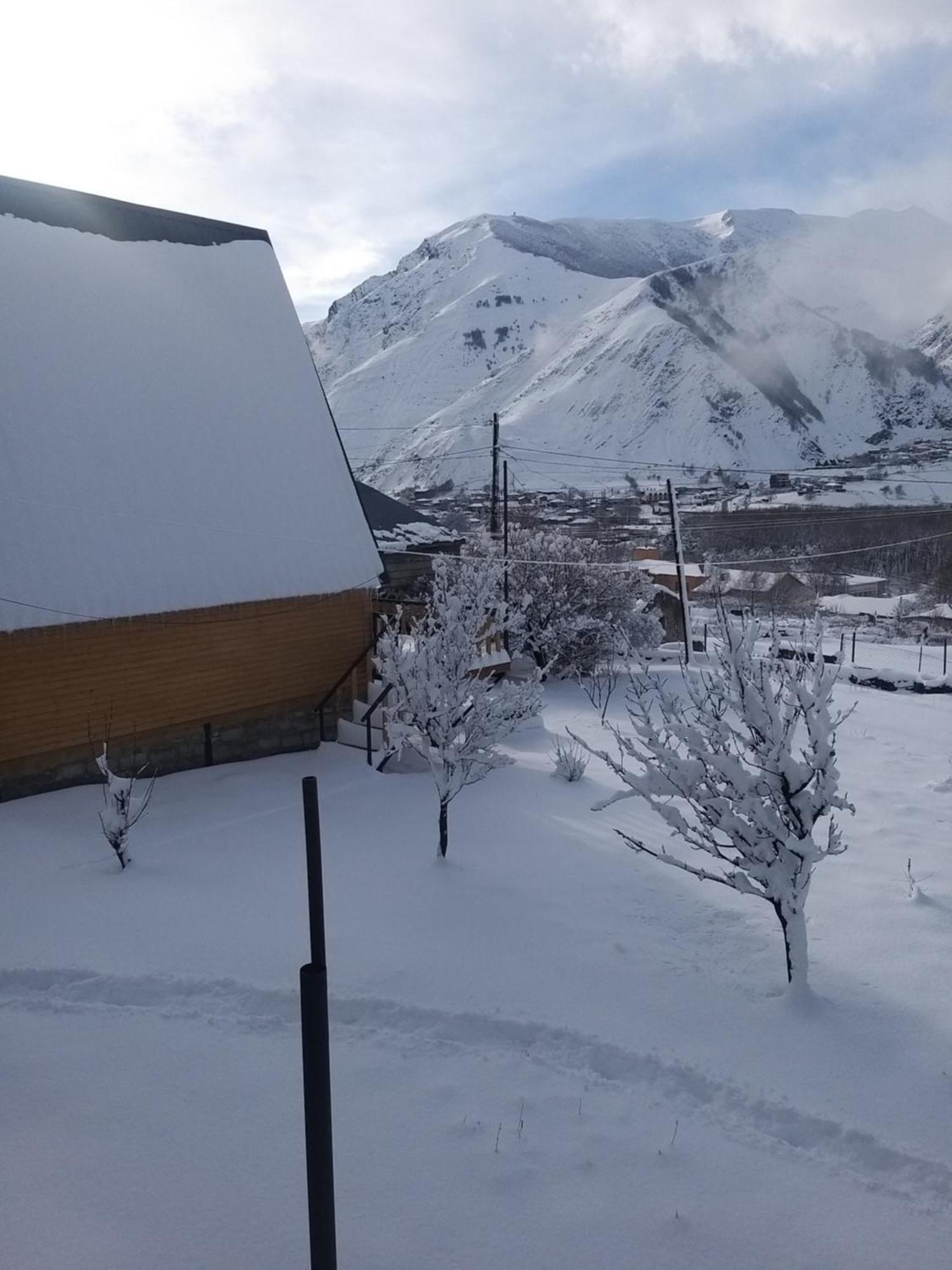Apartmán Emotion Kazbegi Pokoj fotografie