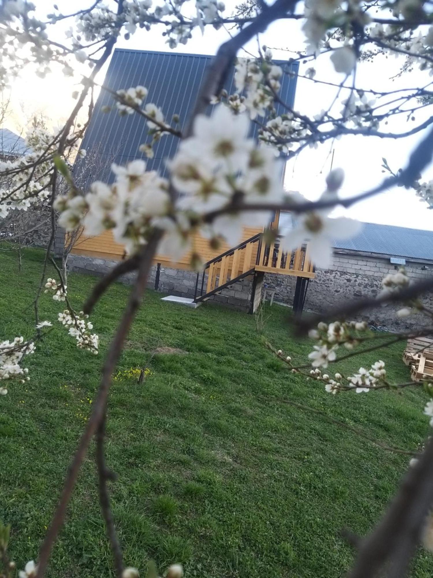 Apartmán Emotion Kazbegi Pokoj fotografie