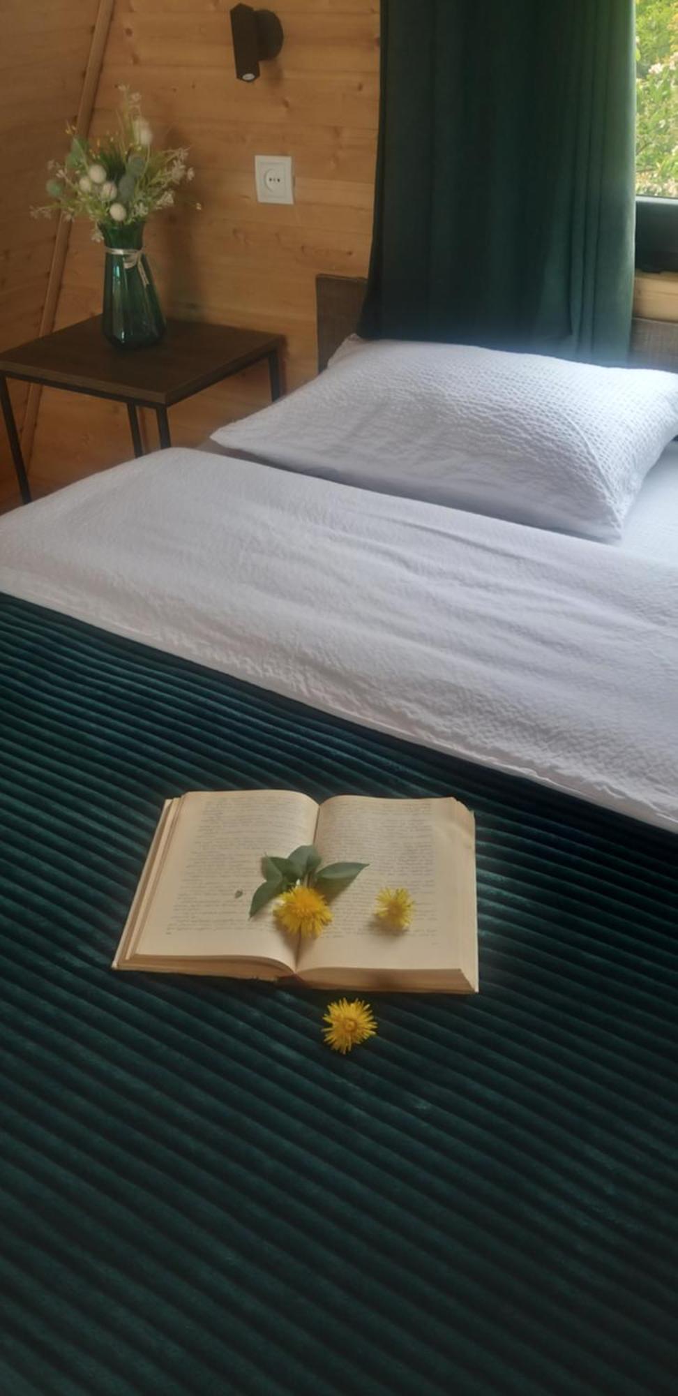 Apartmán Emotion Kazbegi Exteriér fotografie