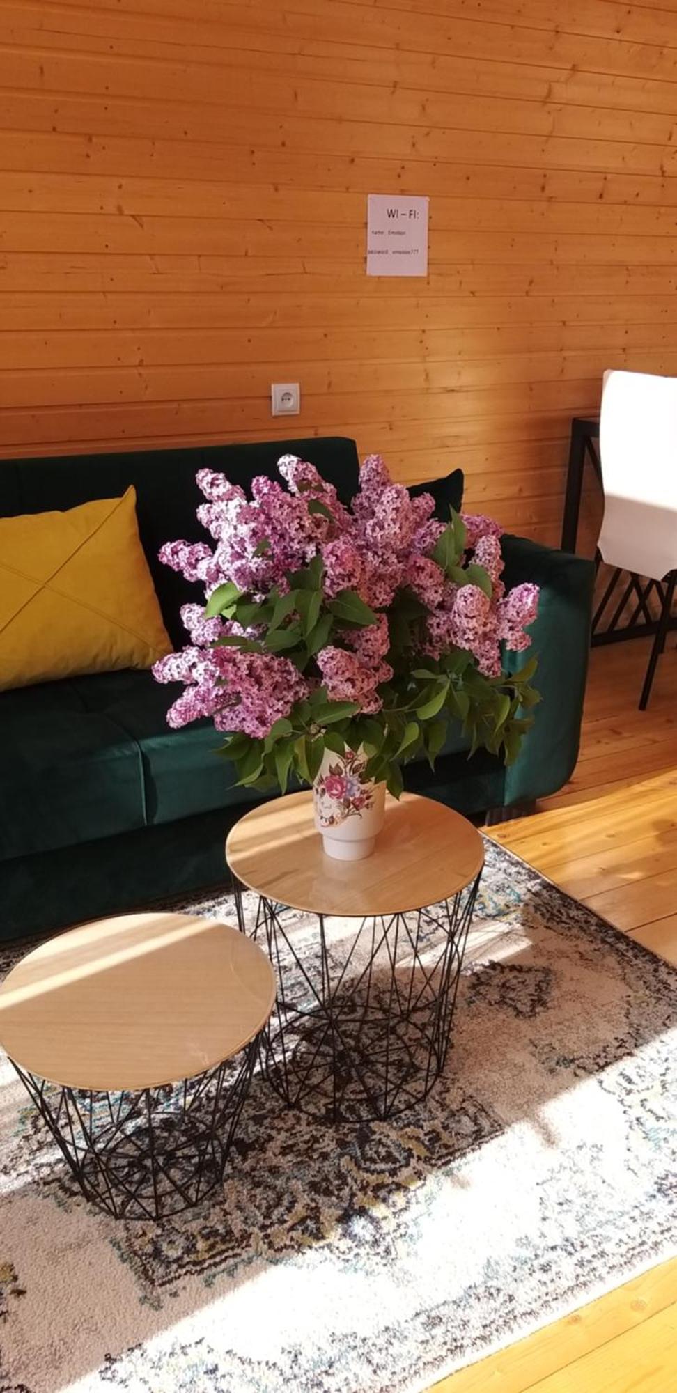 Apartmán Emotion Kazbegi Exteriér fotografie