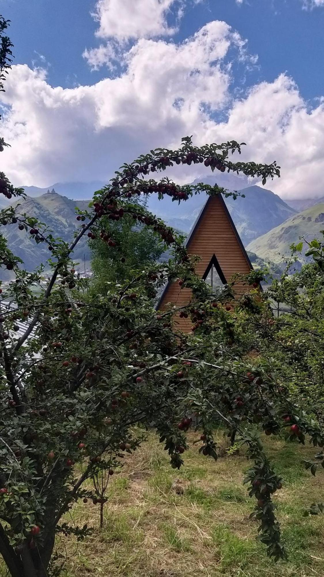 Apartmán Emotion Kazbegi Exteriér fotografie